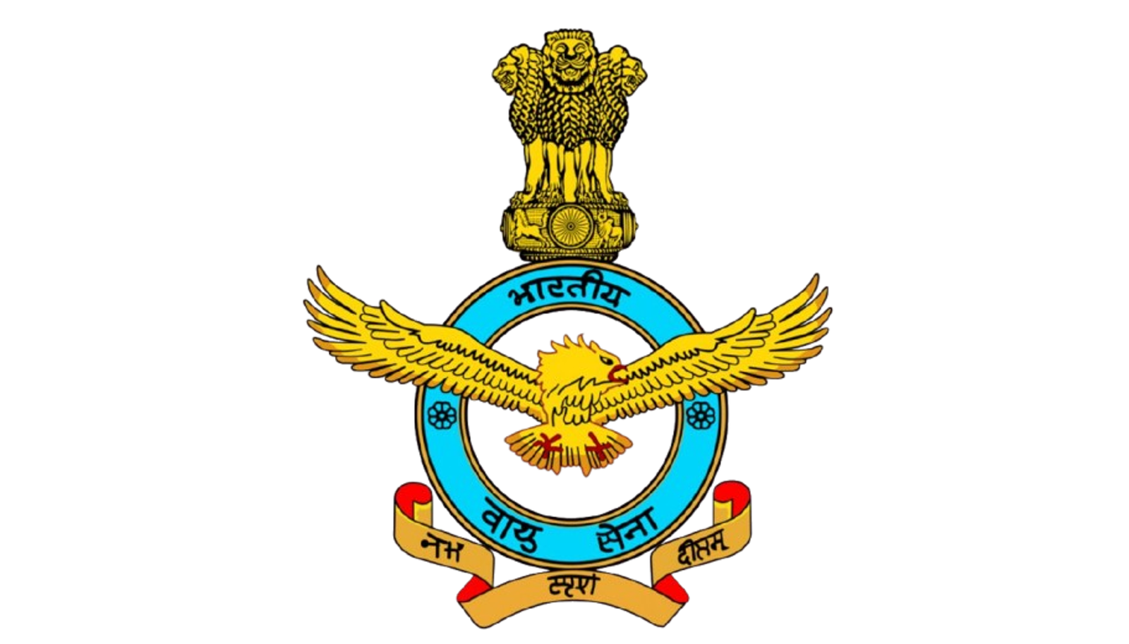 IAF logo